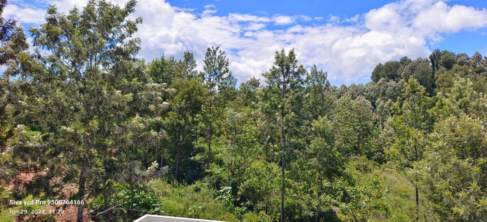 Ambience Villas Yercaud Buitenkant foto